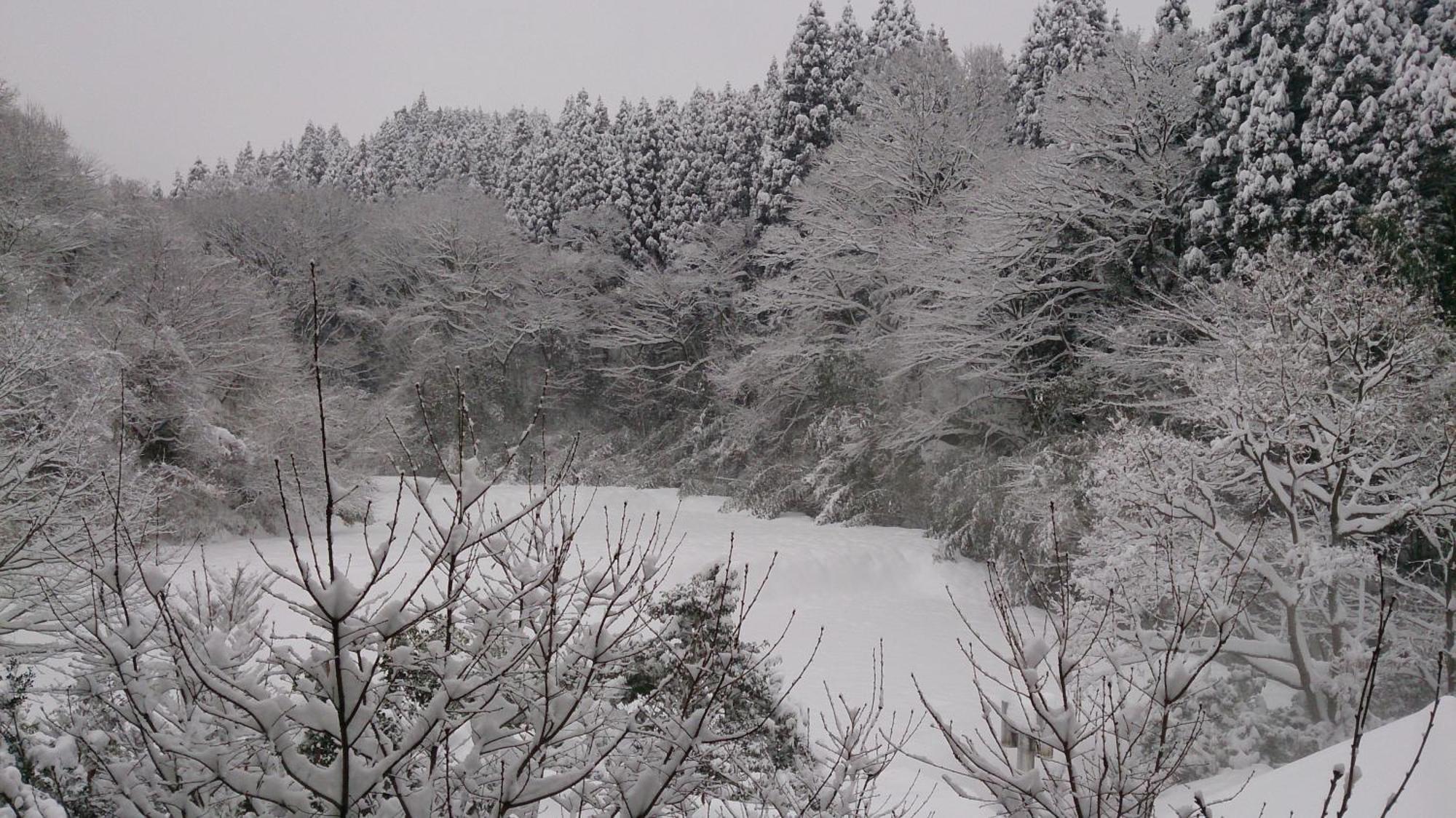 Kurokawa Onsen Ryokan Ichinoi Minamioguni Luaran gambar